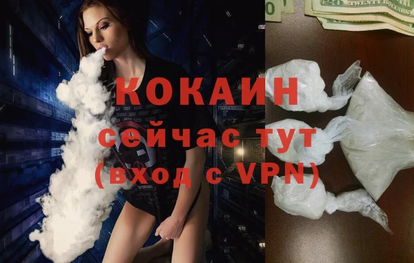 соль ск Михайлов