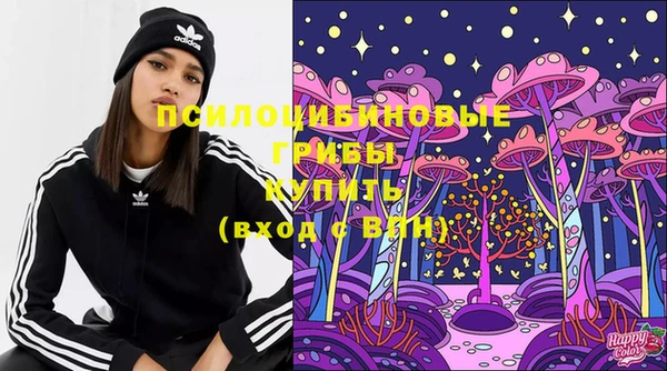 герыч Билибино