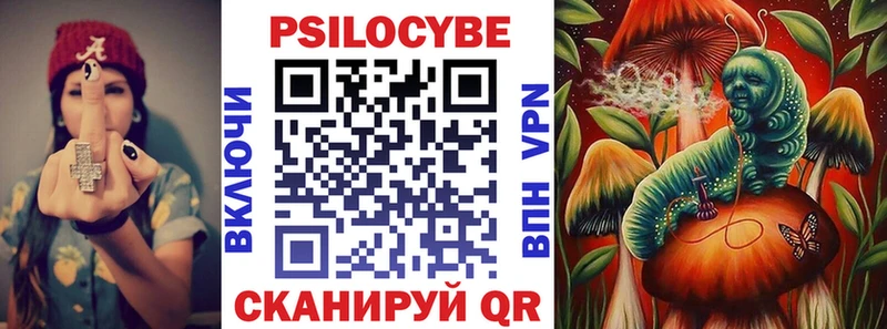 магазин наркотиков Ядрин MEGA зеркало Псилоцибиновые грибы Magic Shrooms